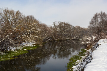 winter river, trees in the snow, view of the snow-covered forest