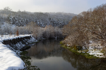 The river flows through the forest. In late fall in the forest the trees stand leafless and reflected in the water of the river After the snowfall, snow lies on the river banks and on the trees