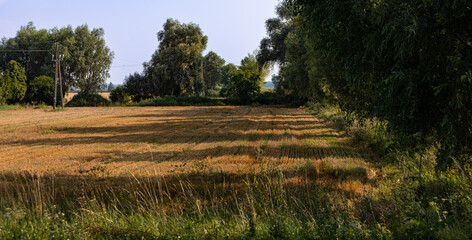 Calm summer day, landscape of Żuławy near Jantar, northern Poland