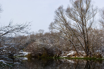 The river flows through the forest. In late fall in the forest the trees stand leafless and reflected in the water of the river After the snowfall, snow lies on the river banks and on the trees