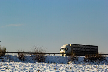 The truck is driving on a winter road. View from the side of the road, image in blue tint