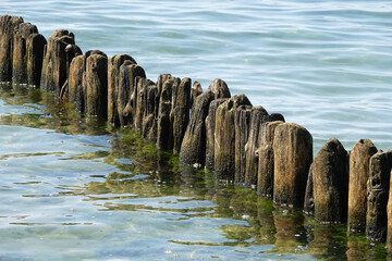 Breakwater old wooden stakes in water