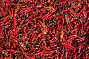 red hot chili peppers