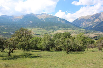 Fototapeta na wymiar Beautiful panoramic view over a valley with fruit trees and the French Alps in the background.