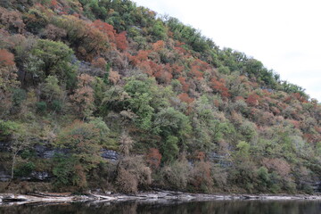 Obraz premium Beautiful panoramic view over a hill on the French river Dordogne. The trees on the hillside have beautiful autumn colors.