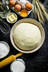 Dough background. Dough with eggs, flour and butter.