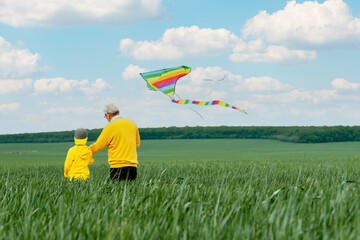 Focus on a kite launched by an older man and a child on a green glade turned back. family active...