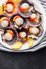 sea scallops in shell fresh seafood fast food healthy meal food snack on the table copy space food background rustic top view pescatarian diet
