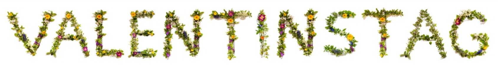 Blooming Flower Letters Building German Word Valentinstag Means Valentines Day