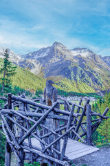 a bearded vulture along the Panoramapromenade Sulden in South Tyrol