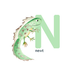 Letter N, newt, cute kids animal ABC alphabet. Watercolor illustration isolated on white background. Can be used for alphabet or cards for kids learning English vocabulary and handwriting