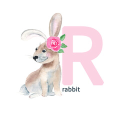 Letter R, rabbit, cute kids animal ABC alphabet. Watercolor illustration isolated on white background. Can be used for alphabet or cards for kids learning English vocabulary and handwriting.