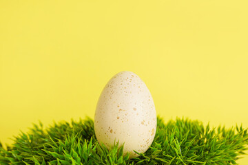 White spotted Easter egg on green grass on yellow background