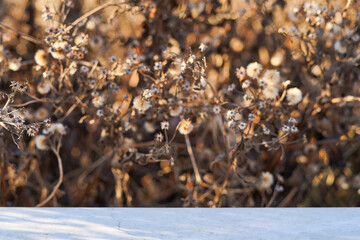 Natural stone podium for beauty and spa cosmetic brand display on brown background wall with plant shadow. Luxury granite material