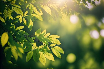 Closeup beautiful view of nature green leaves on green blurred background generative AI