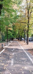 alley in the park
