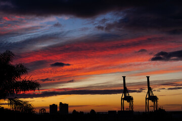 cranes on horizon under intense sunset colored sky, selective focus, copy space