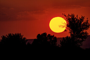 red sunset behind the trees
