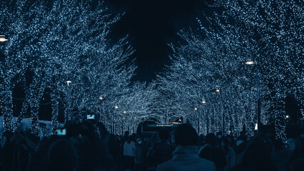 Tokyo Illumination