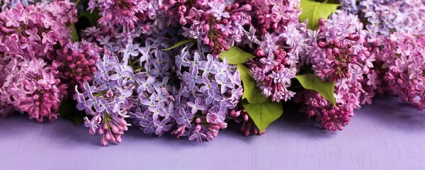 floral violet background with blooming branches of purple lilac.