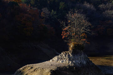 枯渇した池の島