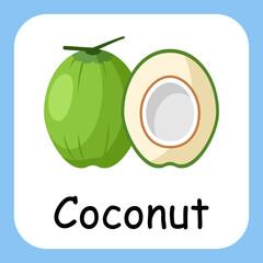 Flat Illustration of Coconut with Text Vector Design. Education for Kids.