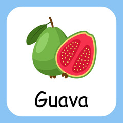 Flat Illustration of Guava with Text Vector Design. Education for Kids.