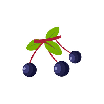 Farkleberry Fruit Flat Design Vector Illustration Isolated on a White Background.