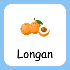 Flat Illustration of Longan with Text Vector Design. Education for Kids.