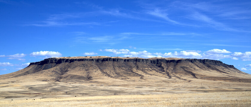 Panorama of a large square butte in western Montana, with electric towers and cattle around the base, showing up as miniature.