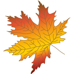  colorful autumn leaves Chestnut, maple, oak, birch, aspen, etc.