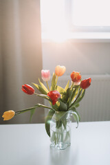 Colorful fresh tulips on a white background. Valentines Day, March 8, spring background