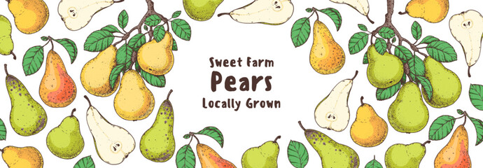 Pear fruit hand drawn design. Vector illustration. Design, package, brochure illustration. Pear fruit frame illustration. Design elements for packaging design and other.