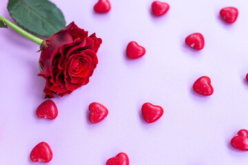 red rose on a pink background with hearts