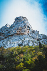Ruta por la selva de Oza y el valle de Zuriza. La recogida de setas es habitual aquí, así como encontrarse con caballos salvajes o vacas que andan libres con el buen tiempo por los Pirineos.