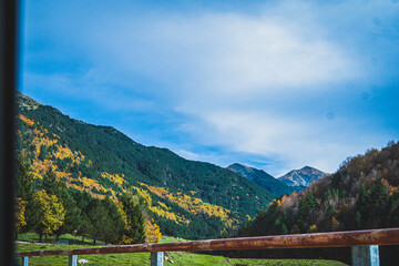Ruta por la selva de Oza y el valle de Zuriza. La recogida de setas es habitual aquí, así como encontrarse con caballos salvajes o vacas que andan libres con el buen tiempo por los Pirineos.