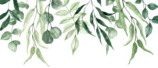 Green leaf floral border. Watercolor forest foliage banner. A pre-made botanical frame on transparent background.   PNG illustration. - 562178601