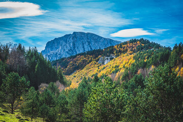 Ruta por la selva de Oza y el valle de Zuriza. La recogida de setas es habitual aquí, así como encontrarse con caballos salvajes o vacas que andan libres con el buen tiempo por los Pirineos.