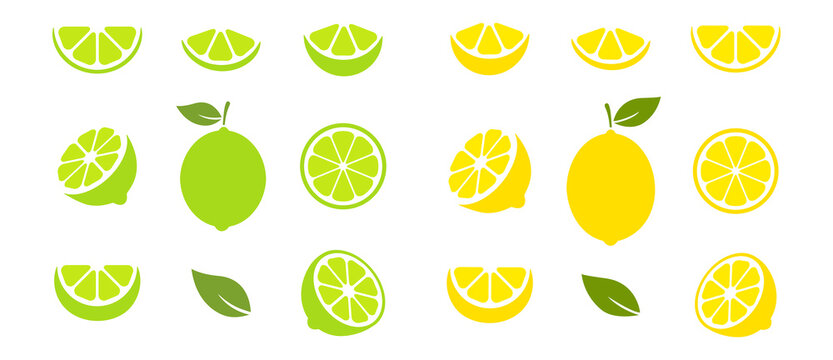 Lime and lemon slices set. Citrus fruits collection. Vector illustration isolated on white.	