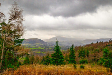 morning in the mountains