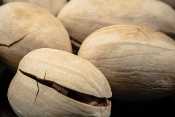 Heap of Big Pecan. Pecan Nuts extremely close up