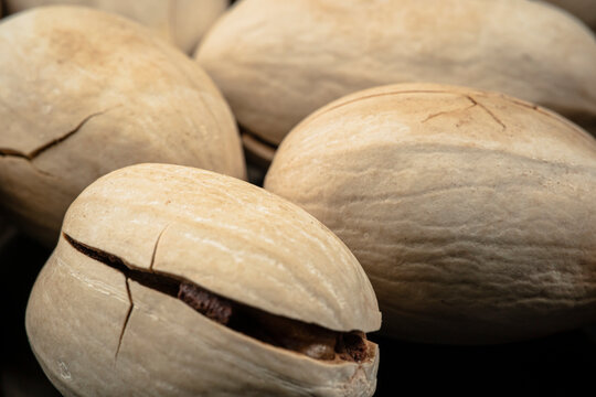 Heap of Big Pecan. Pecan Nuts extremely close up