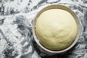 Freshly prepared dough in bowl.