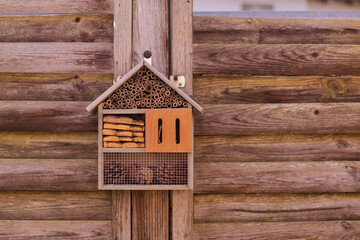 Hotel for bees and insects wooden hanging on the fence