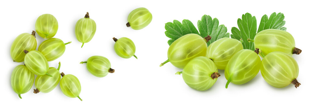 Green gooseberry isolated on white background with full depth of field. Top view. Flat lay