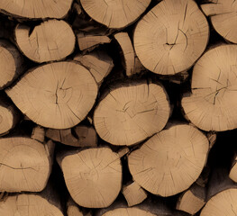 Fototapeta premium Illustration of firewood, generative ai