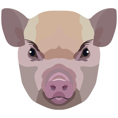 Micro Pig face. Vector illustration with cute mini pig. Isolated on white background.