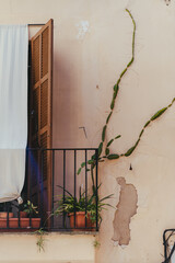 Schöner Balkon mit Kaktus an der Hauswand