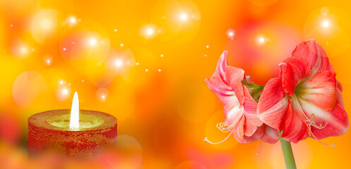 Obraz na płótnie Canvas Amaryllis flower standing next to a lit candle .