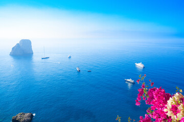 Famous Faraglioni cliffs and Tyrrhenian Sea blue water, blooming flowers, Capri island, Italy